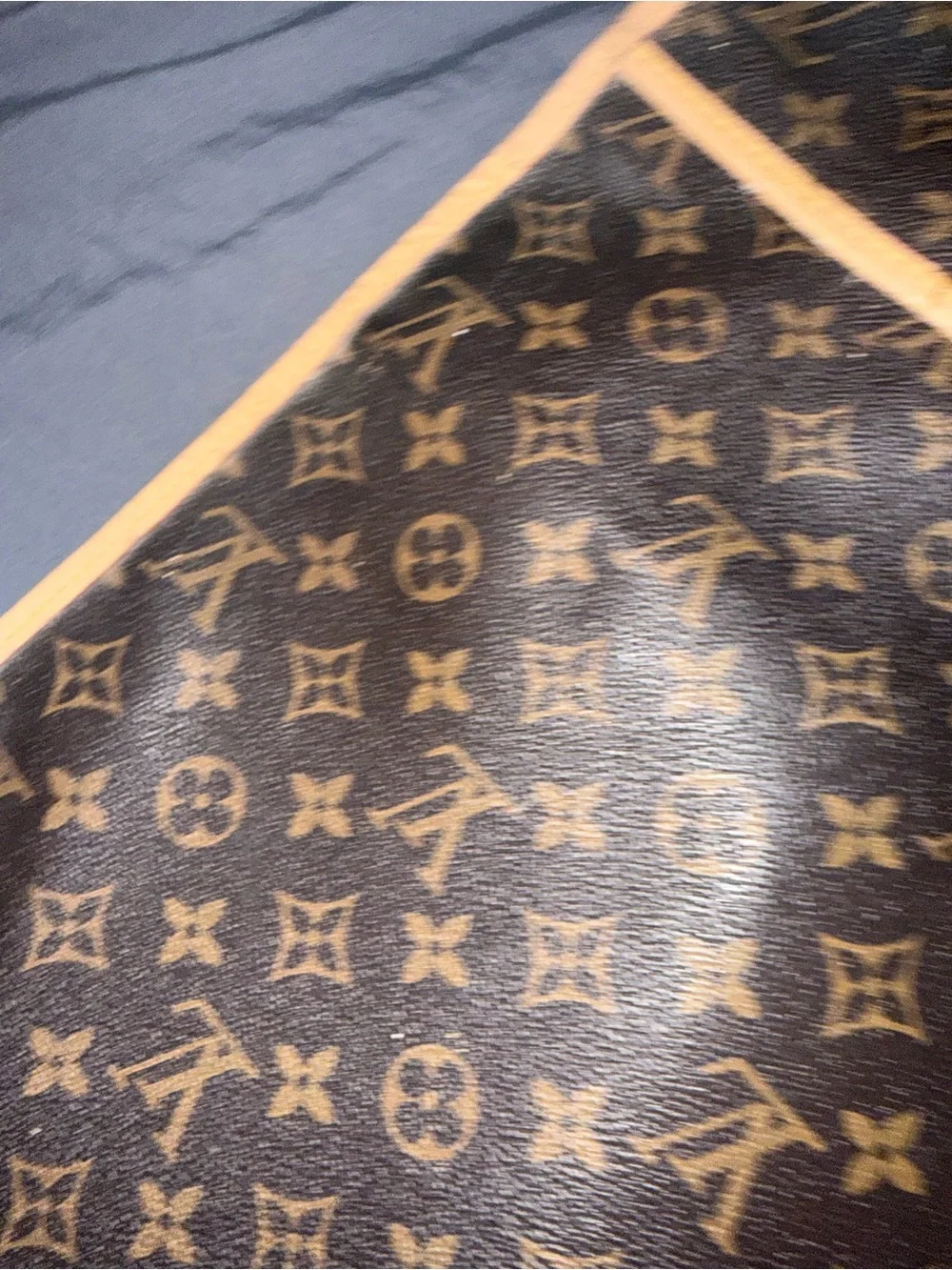Louis Vuitton Brown Monogram Garment Cover with Natural Leather Trim